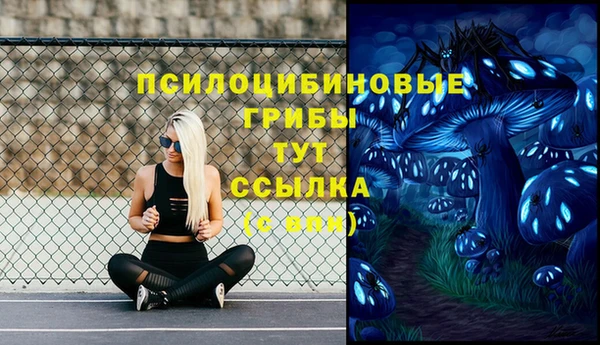 МДПВ Осинники
