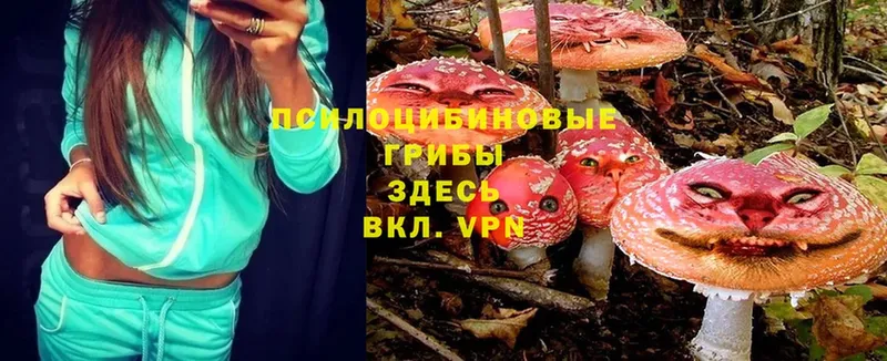 Галлюциногенные грибы Cubensis  Серов 