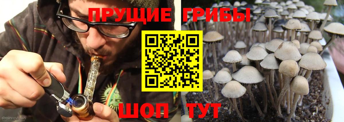 Псилоцибиновые грибы мухоморы Серов